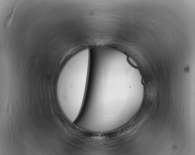X0000100200216200805300754