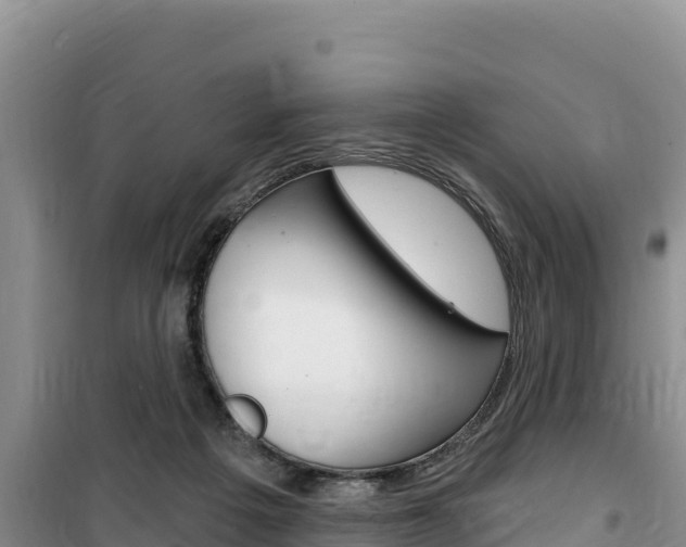 X0000100200217200805300754