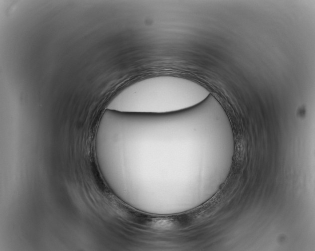 X0000100200218200805300754