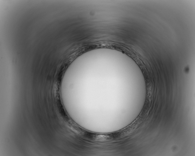 X0000100200222200805300754