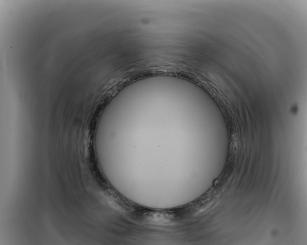 X0000100200223200805300754