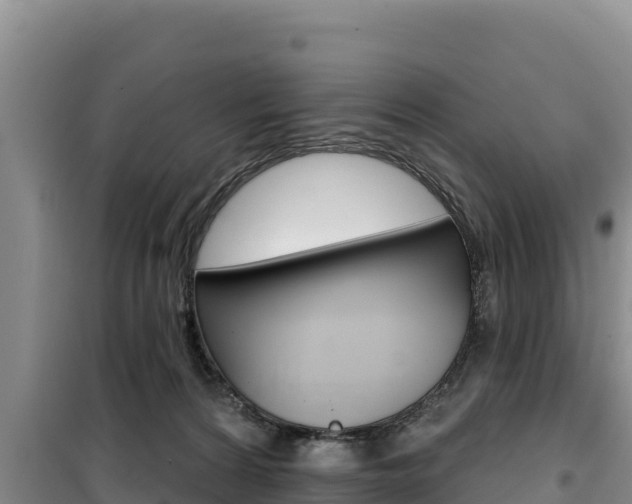 X0000100200224200805300754