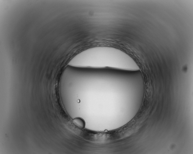 X0000100200225200805300754