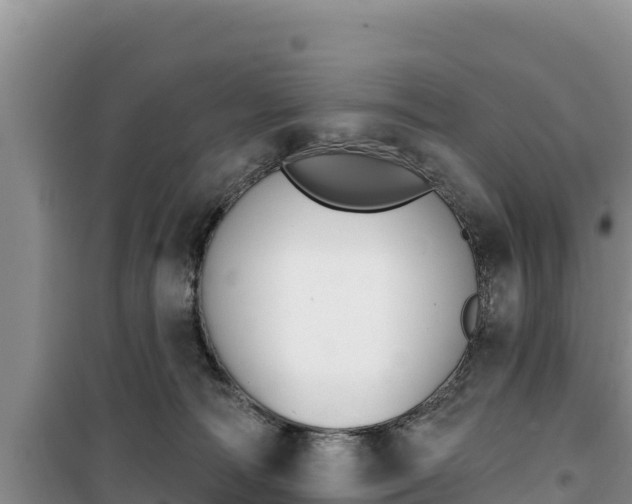 X0000100200226200805300754