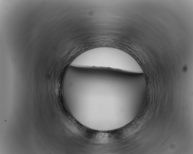 X0000100200227200805300754