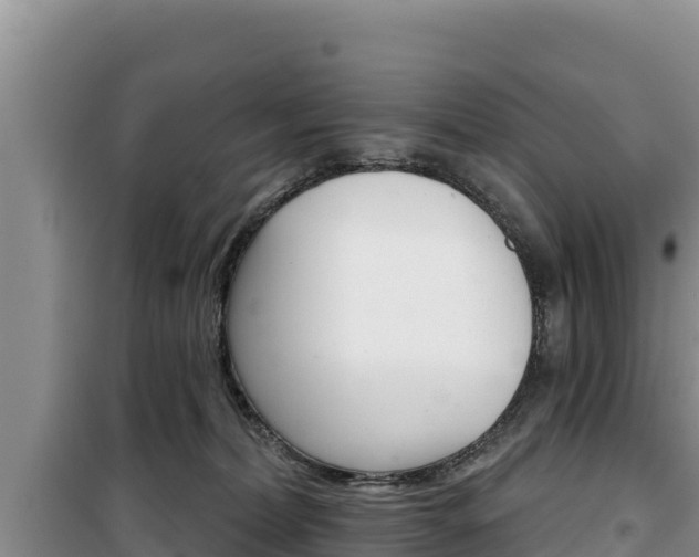 X0000100200228200805300754