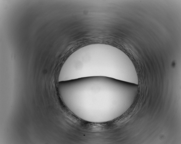 X0000100200229200805300754