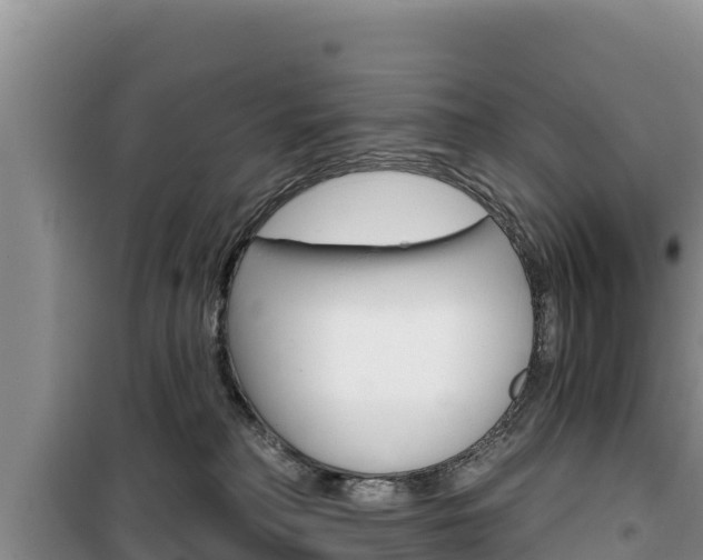 X0000100200230200805300754