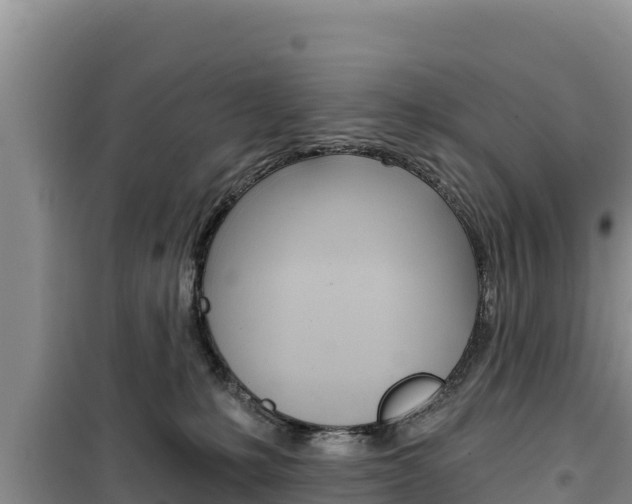 X0000100200231200805300754