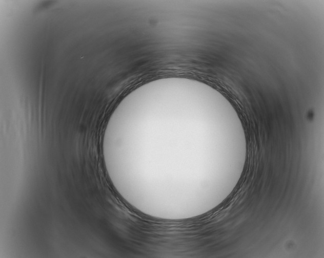 X0000100200233200805300753