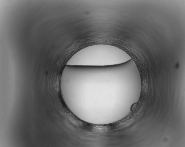 X0000100200234200805300753