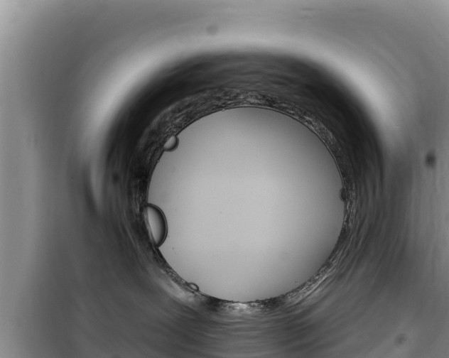 X0000100200239200805300753