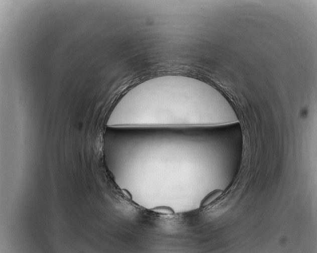 X0000100200240200805300753