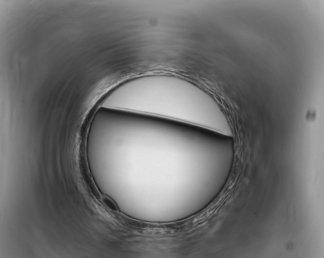 X0000100200242200805300753