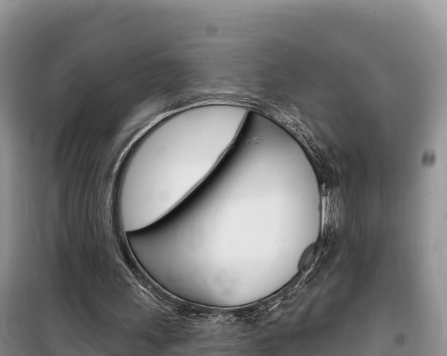 X0000100200243200805300753