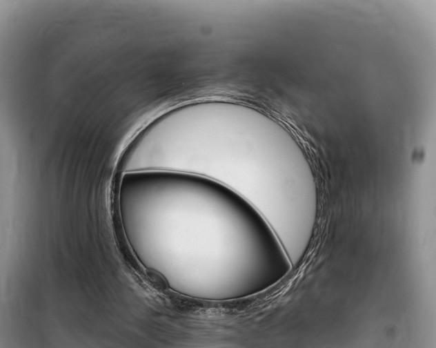 X0000100200244200805300753