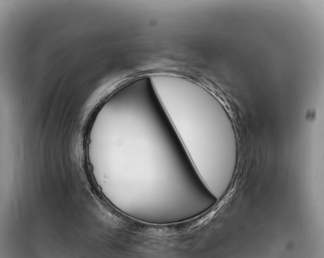 X0000100200245200805300753