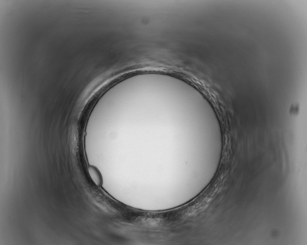 X0000100200247200805300753