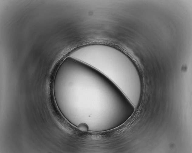 X0000100200250200805300753
