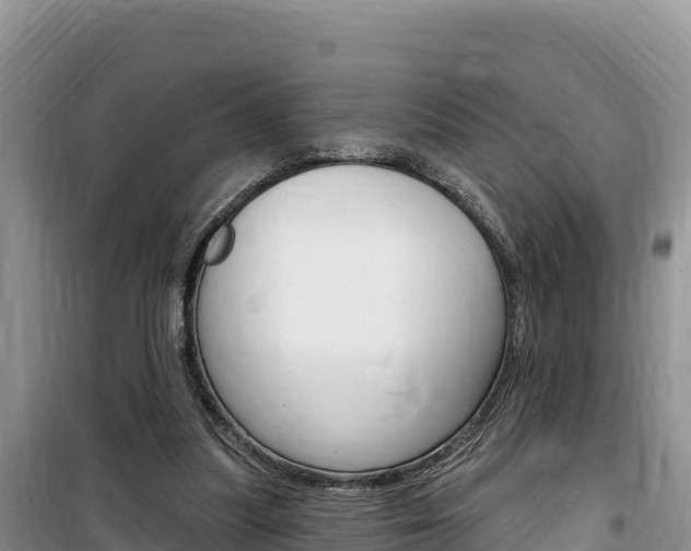 X0000100200251200805300753