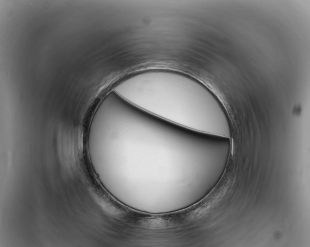X0000100200253200805300753
