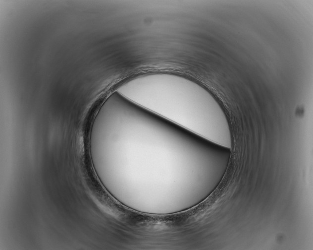 X0000100200254200805300753
