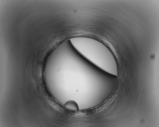 X0000100200257200805300753