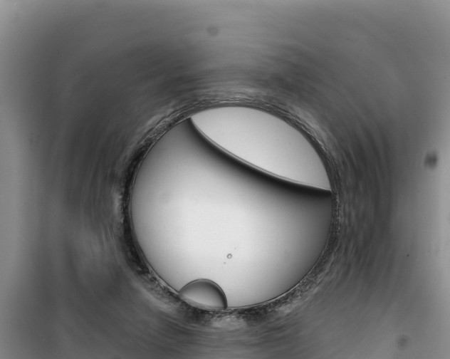 X0000100200258200805300753