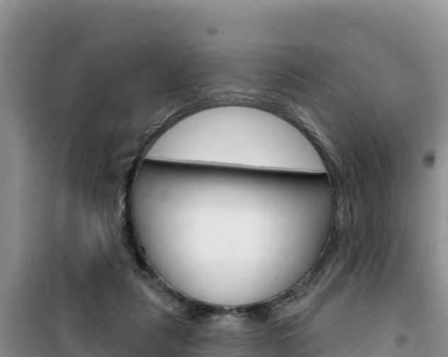 X0000100200259200805300753