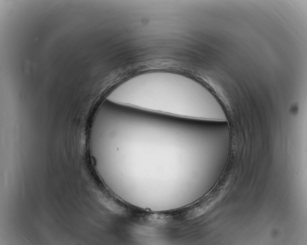 X0000100200261200805300753