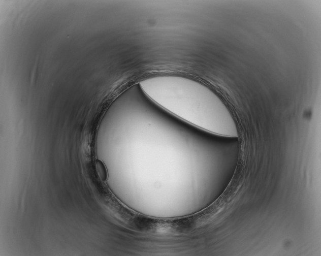 X0000100200264200805300753