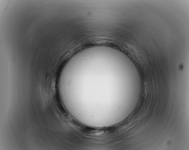 X0000100200267200805300753