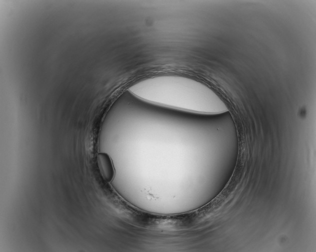 X0000100200268200805300753