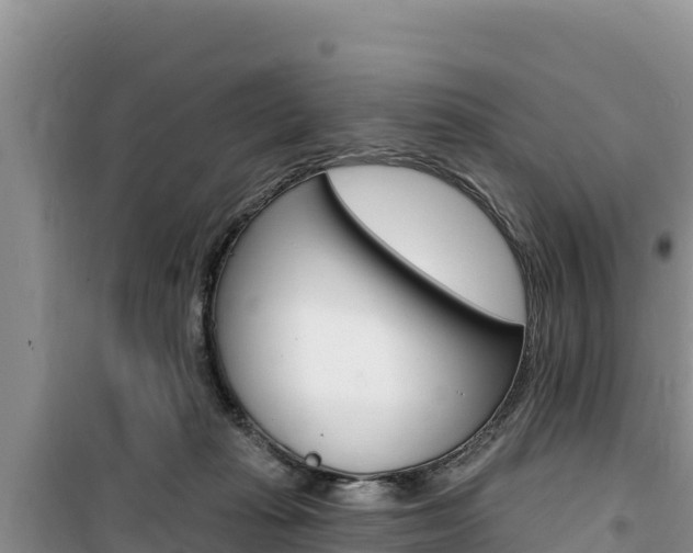 X0000100200269200805300753