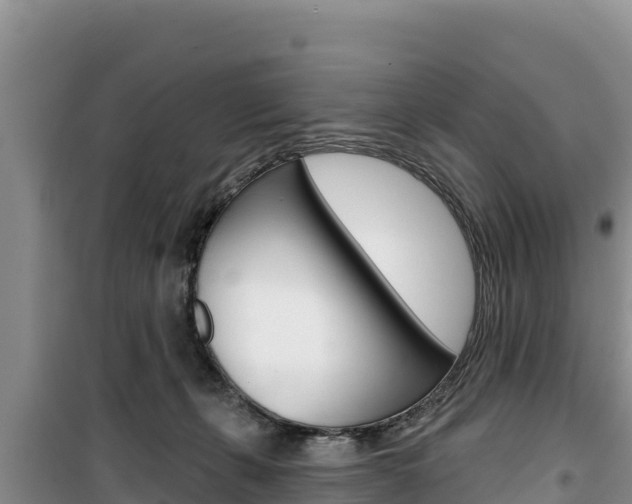 X0000100200271200805300753