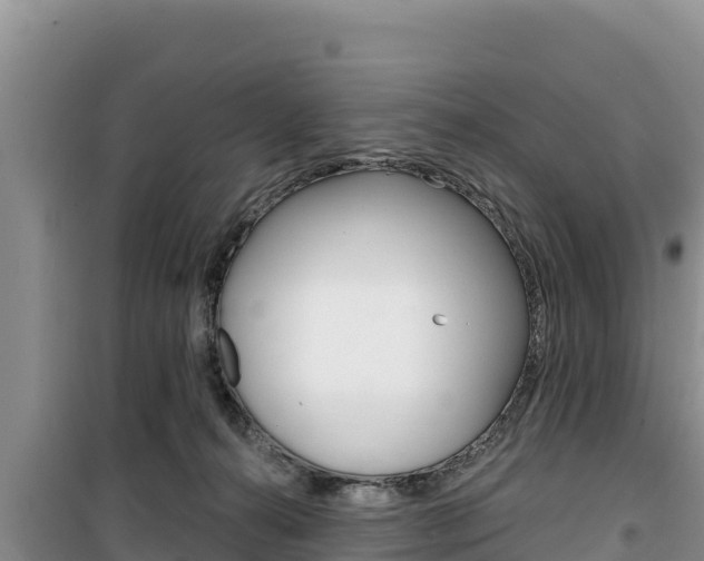 X0000100200272200805300753