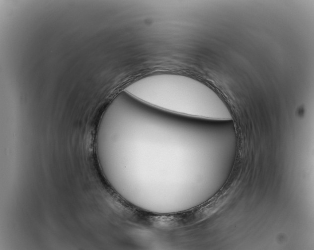 X0000100200273200805300753