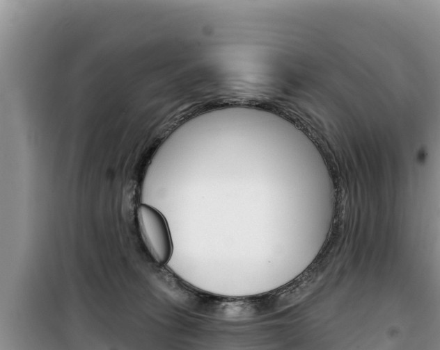 X0000100200275200805300753
