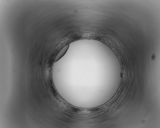 X0000100200276200805300753