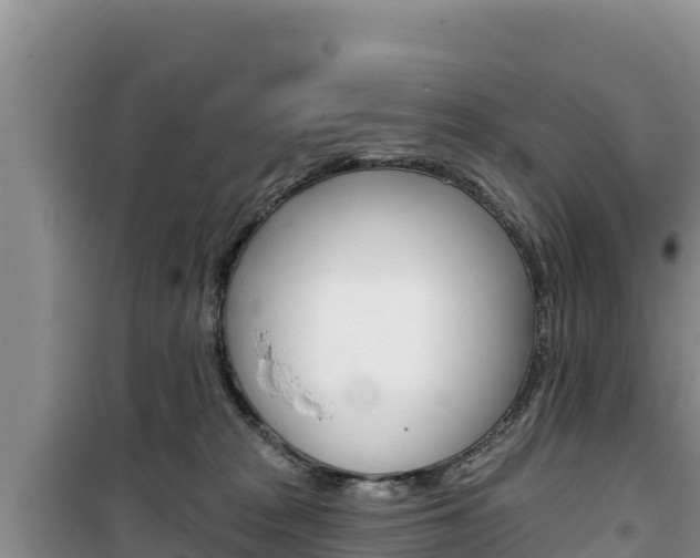 X0000100200277200805300753