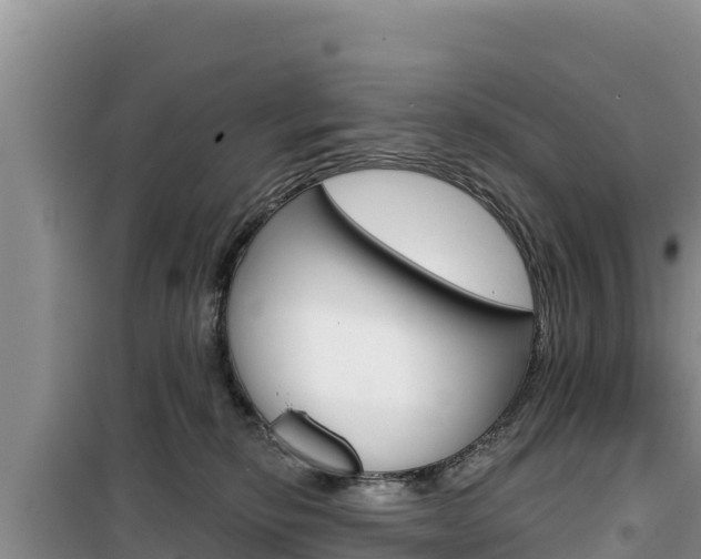 X0000100200278200805300753