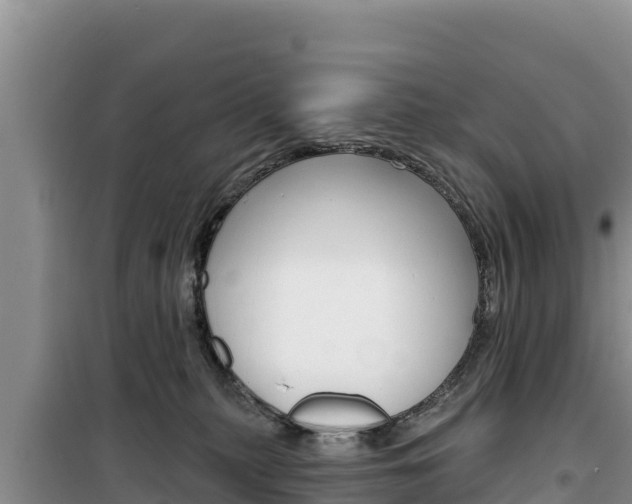 X0000100200279200805300753