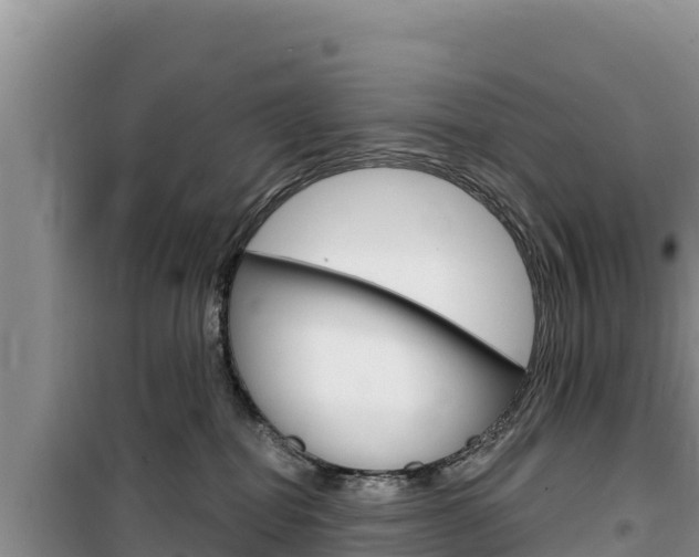 X0000100200282200805300753