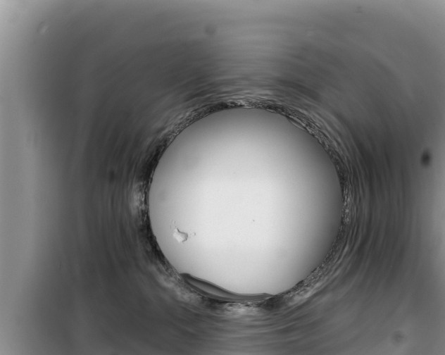 X0000100200284200805300753