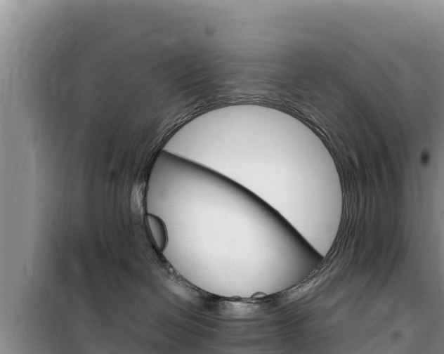 X0000100200286200805300753