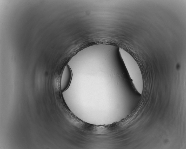 X0000100200287200805300753