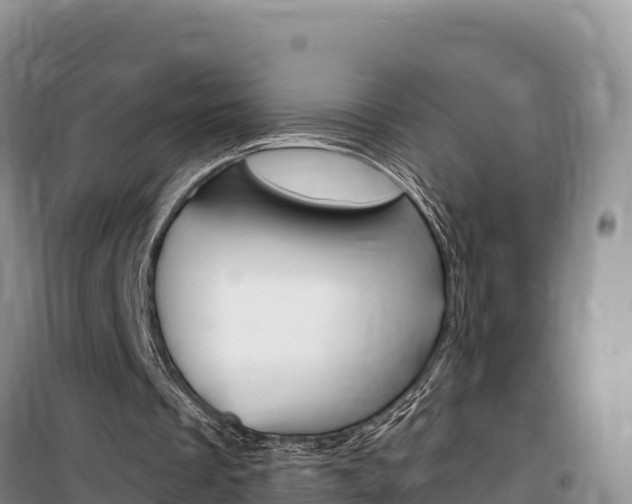 X0000100200289200805300753