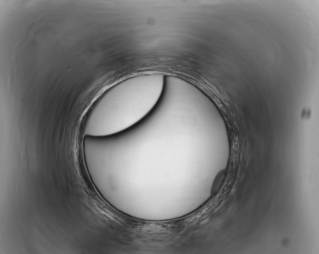 X0000100200290200805300753