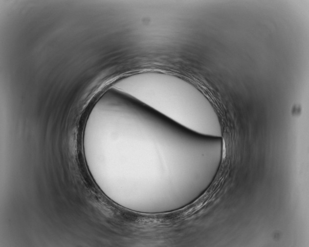 X0000100200291200805300753