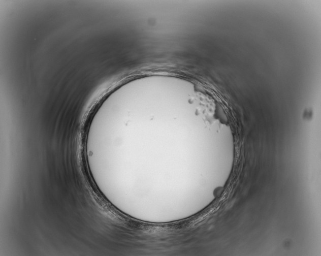 X0000100200293200805300753